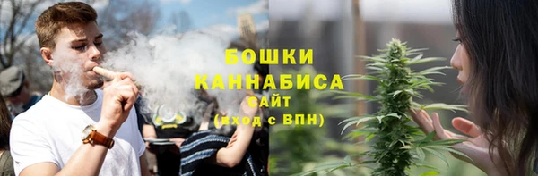 круглые Тайга