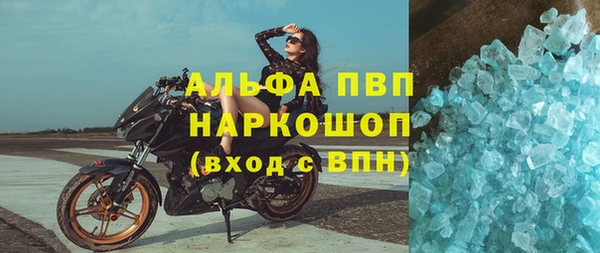 не бодяженный Бородино