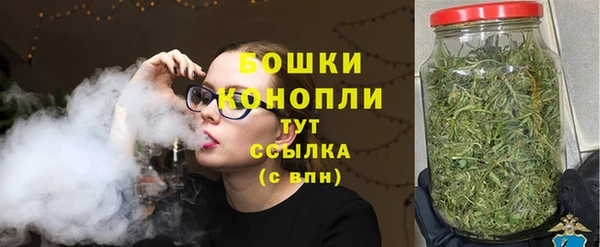 не бодяженный Бородино